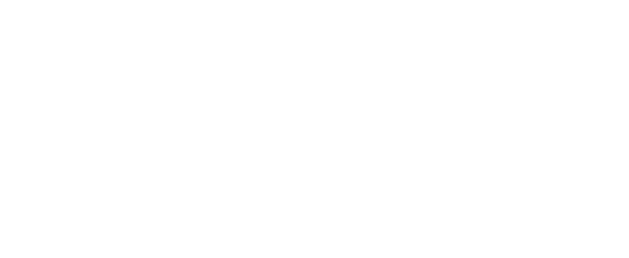 Foundation MVP